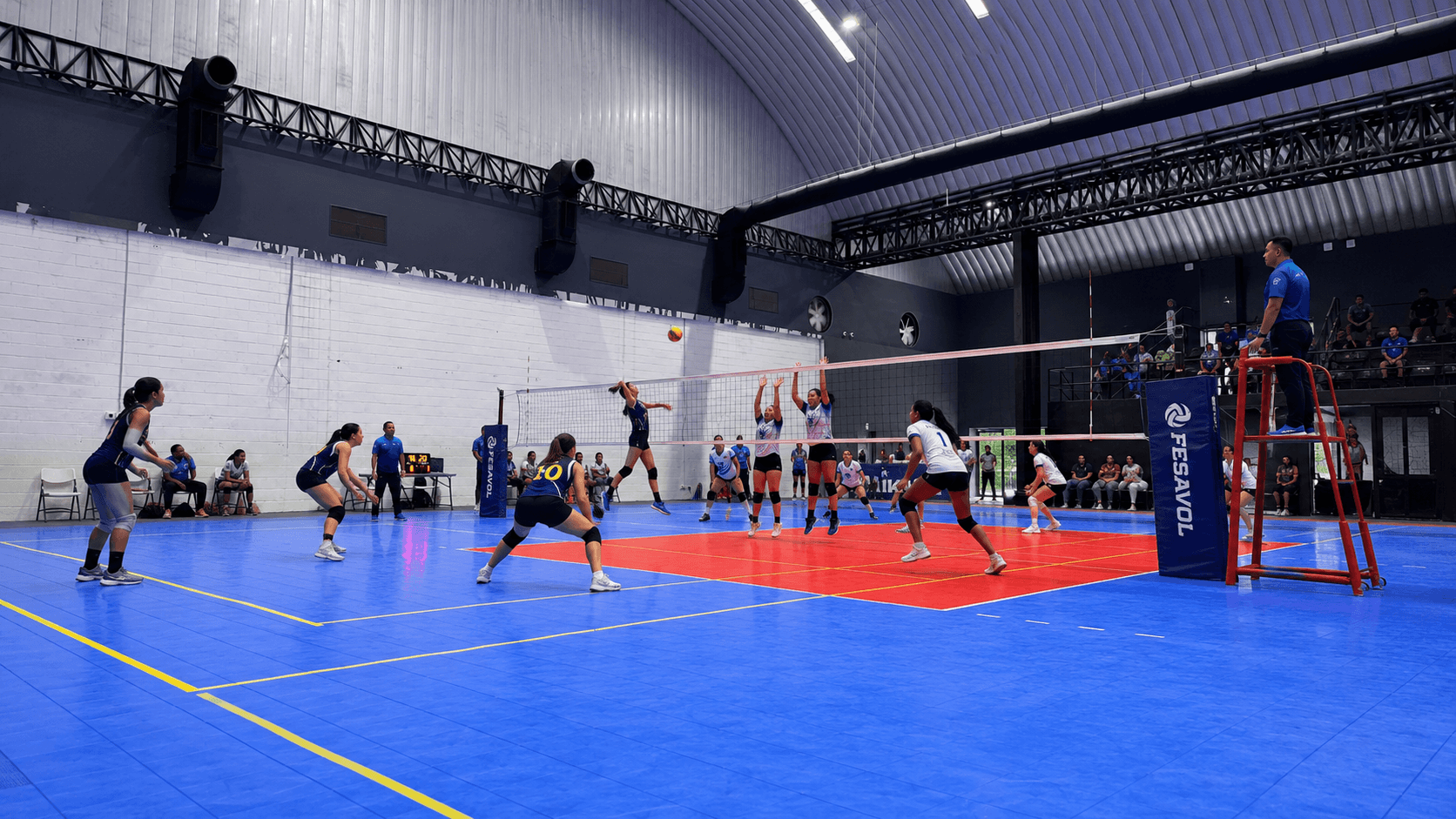 Voleibol sala